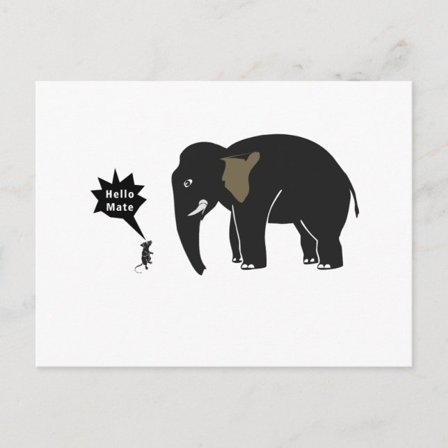 Postal ¡Hola Mate! (Anverso)