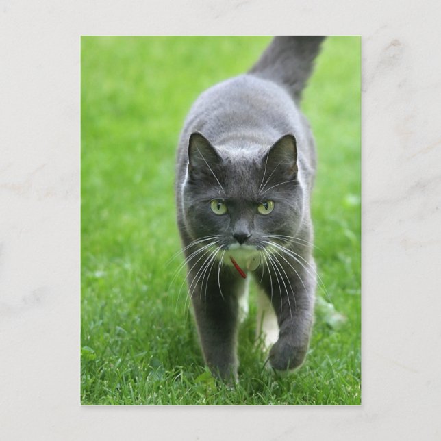 Postal Hola, me llamo Miki (Anverso)