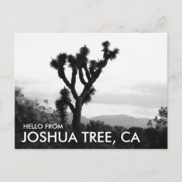 Postal Hola moderno en blanco y negro desde Joshua Tree