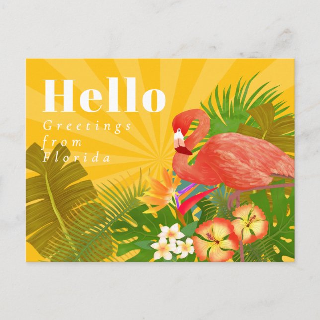 Postal Hola Naranja Amarillo Flamingo (Anverso)