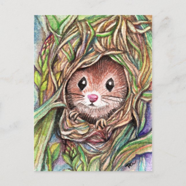 Postal Hola Pequeño Amigo (Anverso)