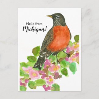 Postal Hola por Michigan American Robin