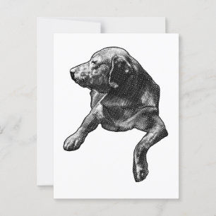 Postal Hola rápida con puntos finos