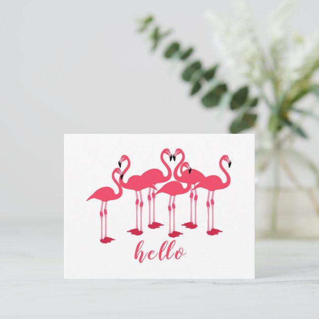 Postal "Hola" Regalo De Flamingos Rosados (Anverso de pie)