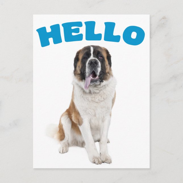 Postal Hola Saint Bernard Puppy Dog Blue Postcard (Anverso)