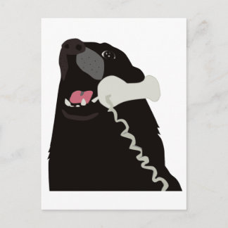 Postal HOLA SÍ ESTE ES EL teléfono del PERRO