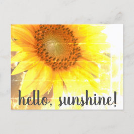 Postal "¡Hola, Sunshine!" Postcarta de girasol desvanecid