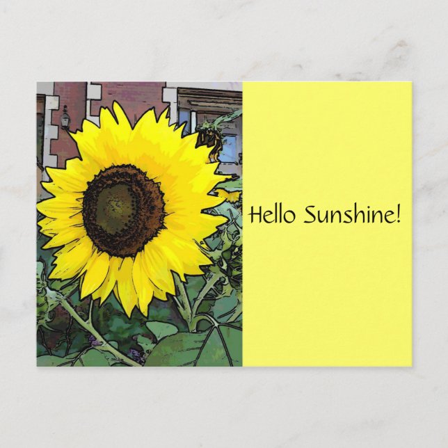 Postal Hola Sunshine Sunflower Postcard (Anverso)