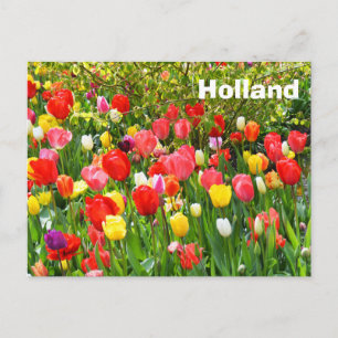Postal Holanda