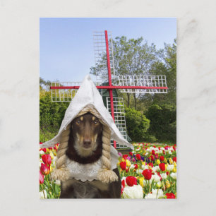 Postal Holandés en marcha