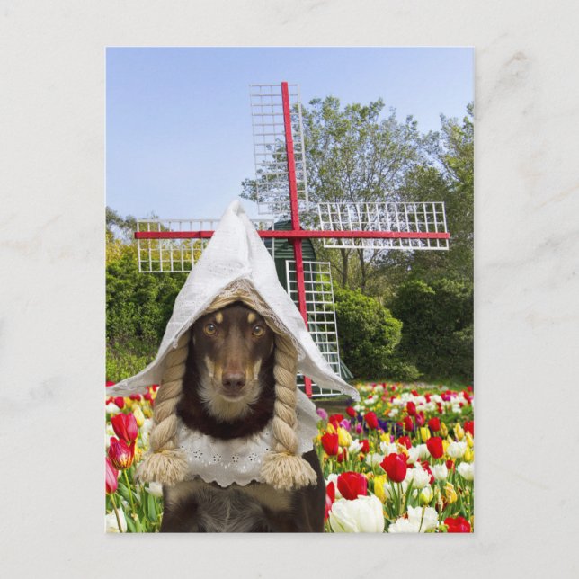 Postal Holandés en marcha (Anverso)