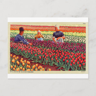 Postal Holandés Tulips Tulpe Retro Vintage Kitsch Amsterd