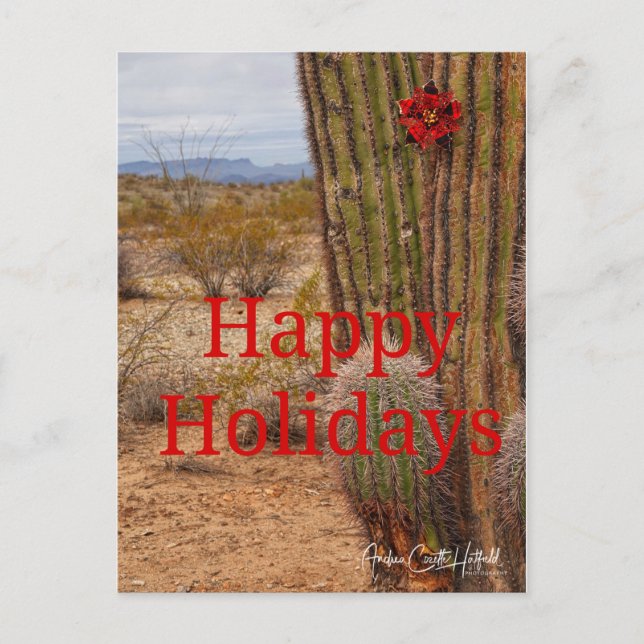 Postal Holiday Cactus (Anverso)