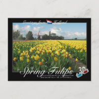 Holland Spring Tulips Landscape 3D Anaglyph