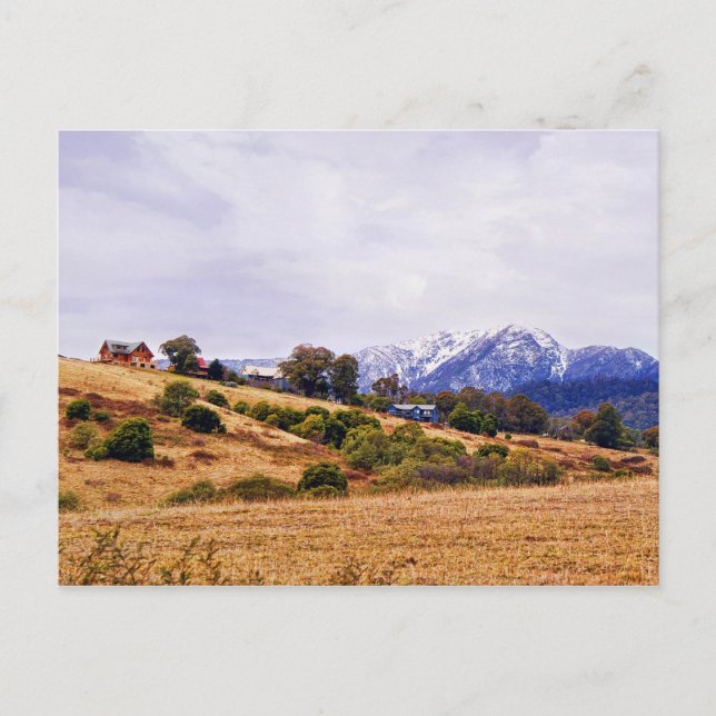 Postal Holling Hills (Anverso)