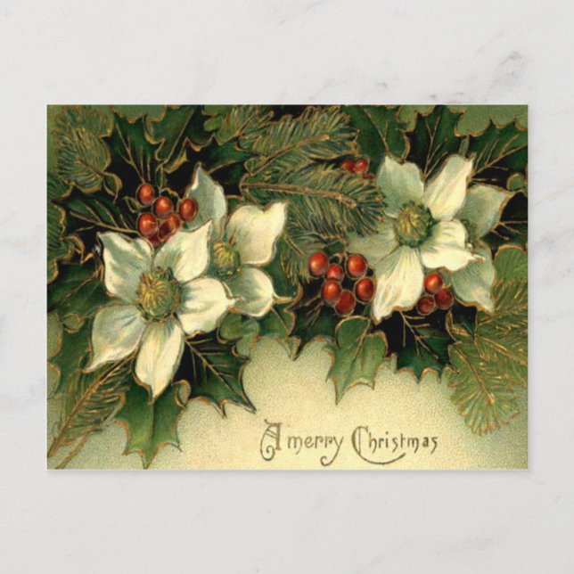 Postal Holly (Anverso)