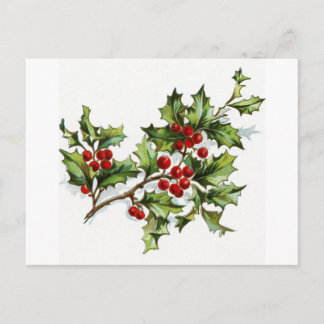 Postal Holly Berries 001