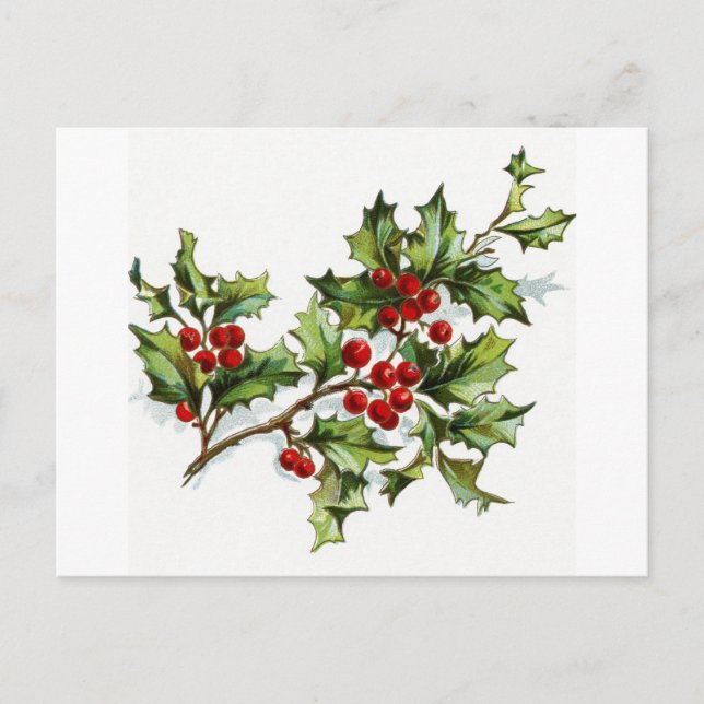 Postal Holly Berries 001 (Anverso)