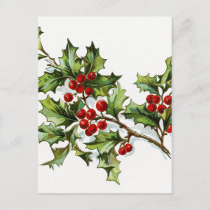 Postal Holly Berries 002
