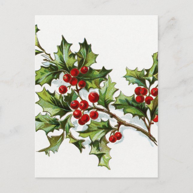 Postal Holly Berries 002 (Anverso)