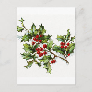 Postal Holly Berries 002