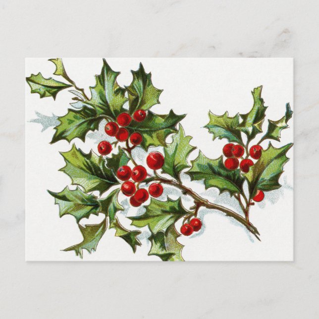 Postal Holly Berries 002 (Anverso)