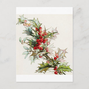 Postal Holly Berries 004