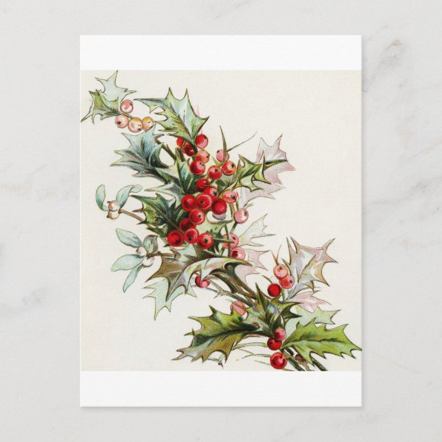 Postal Holly Berries 004 (Anverso)