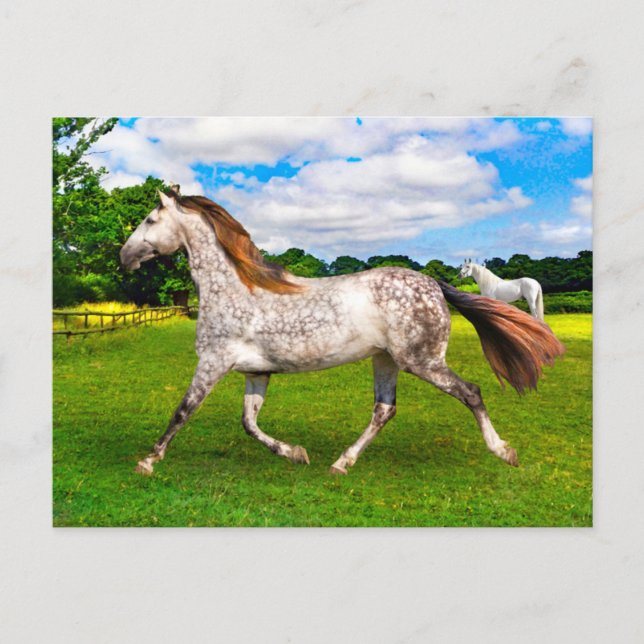 Postal "Holly On Move" (Anverso)