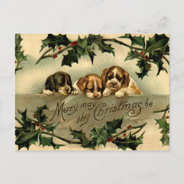 Postal Holly Puppies (Anverso)