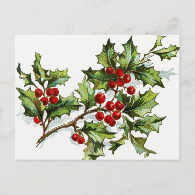 Postal HollyBerries 001 (Anverso)
