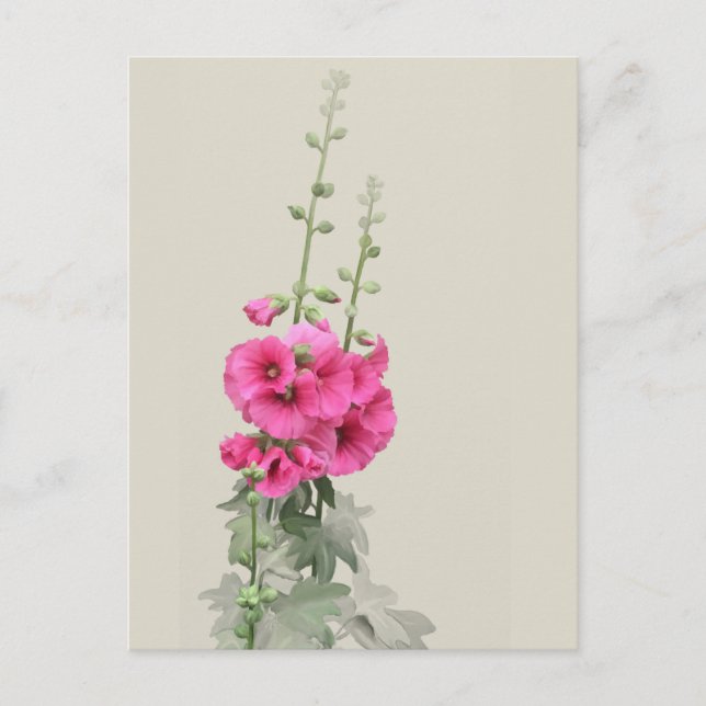 Postal Hollyhocks (Anverso)