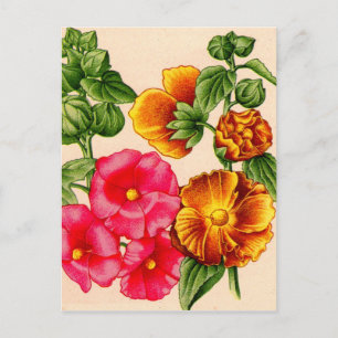 Postal hollyhocks en rosa y amarillo