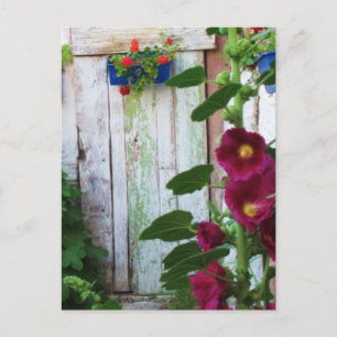 Postal Hollyhocks y flores del jardín inglés
