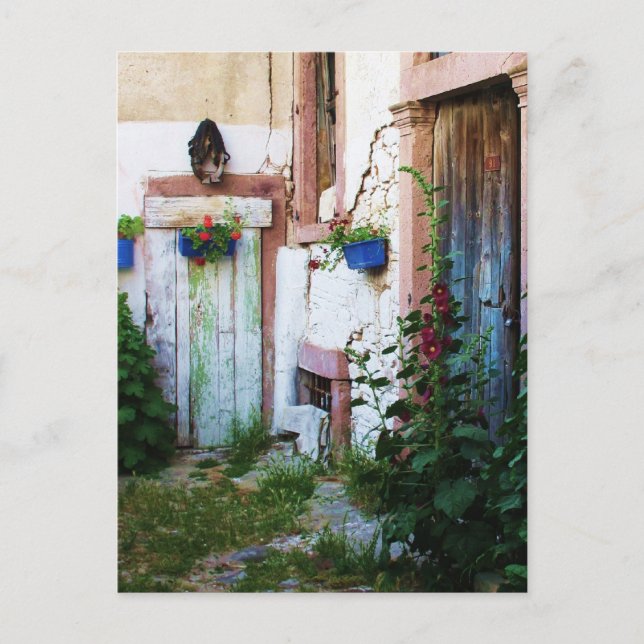 Postal Hollyhocks y flores del jardín inglés (Anverso)