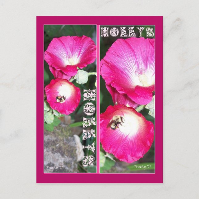 POSTAL HOLLYS BOOKMARKS (Anverso)