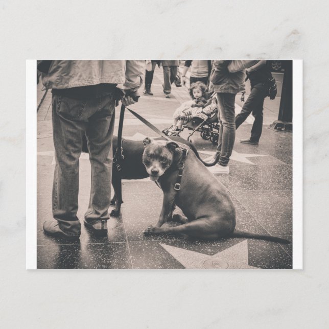 Postal Hollywood Blvd (Anverso)