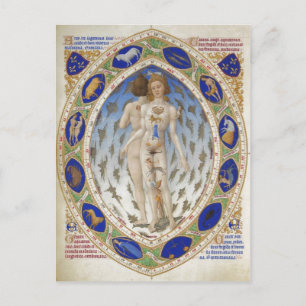 Postal Hombre anatómico, Les Tr?s Riches Heures du ducde 