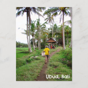 Postal Hombre de los campos de arroz de Bali Indonesia po