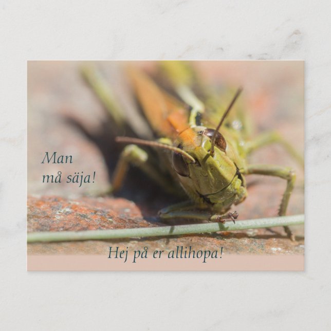 Postal ¡Hombre må säja! Gräshoppa med personlighet CC0775 (Anverso)