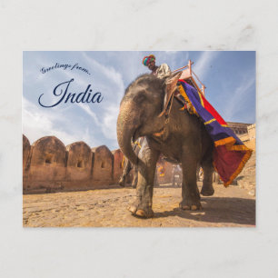 Postal Hombre montando elefante en el palacio Amber Jaipu