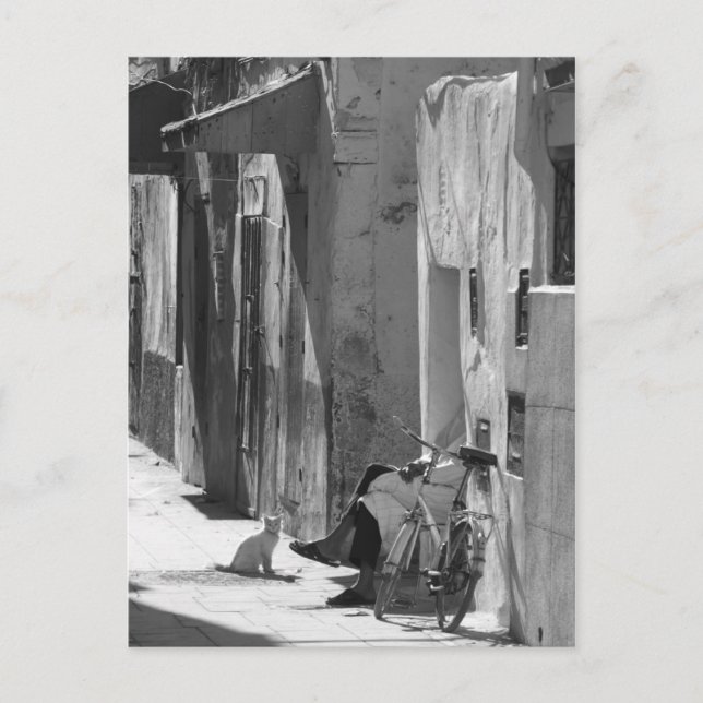 Postal Hombre y gato (Anverso)