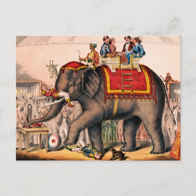 Postal Hombres Actuando En Circo Con Un Elefante. (Anverso)