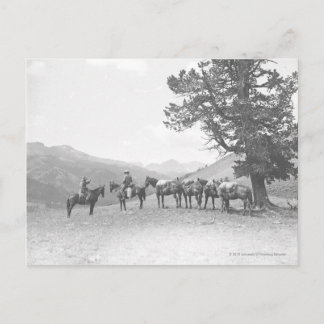 Postal Hombres con caballos de compañía mirando sobre una