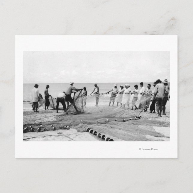 Postal Hombres de Hukilau pescan en Hawaii. Fotografía de (Anverso)