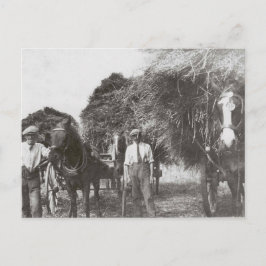 Postal Hombres En El Trabajo Vintage Blanco Y Negro - Pos