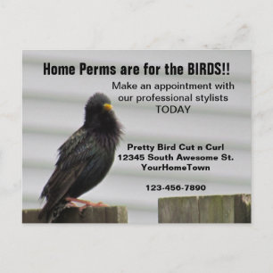 Postal Home Perm Salon Mailer