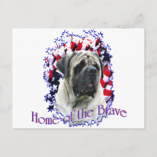 Postal Homeofthe Brave