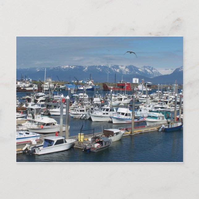 Postal Homer Alaska (Anverso)