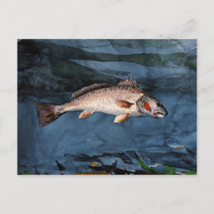 Postal Homer - Channel Bass, Florida